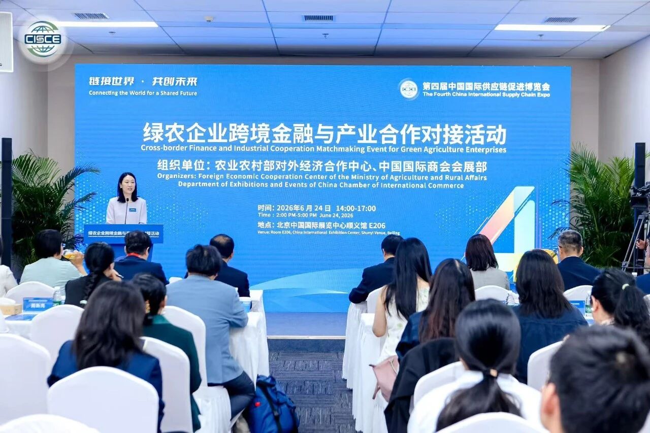 20260624195231_0031.jpg 图片