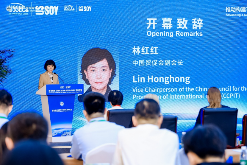 20260625155858_0058.png 图片