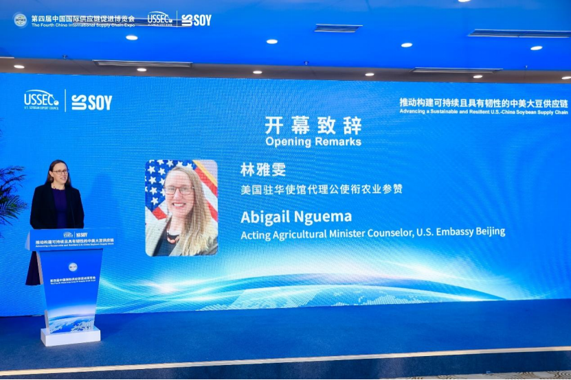 20260625155909_0009.png 图片